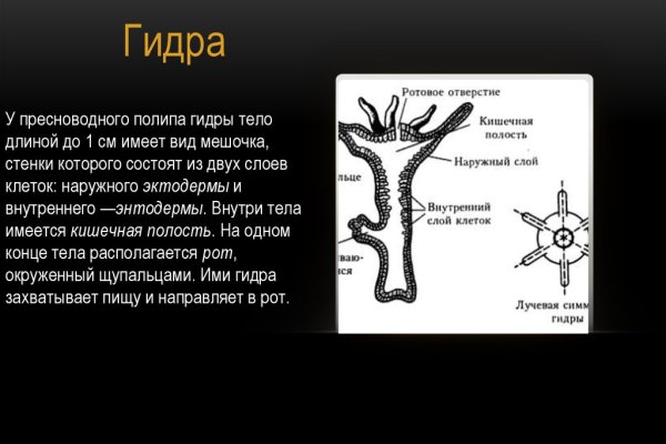 Рабочее зеркало на кракен