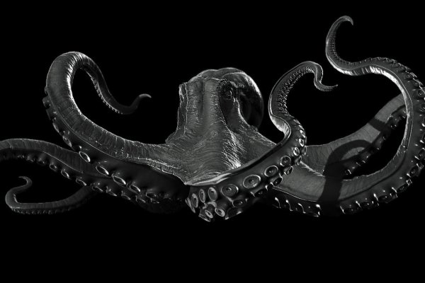 Kraken зеркало kraken dark link