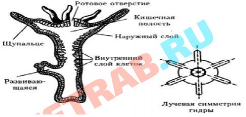 Кракен сайт 14