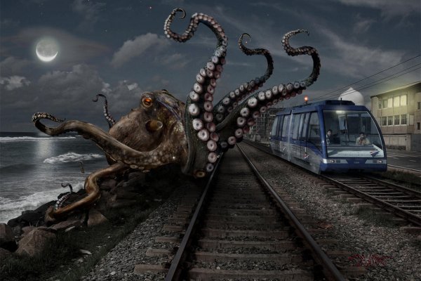 Kraken россия